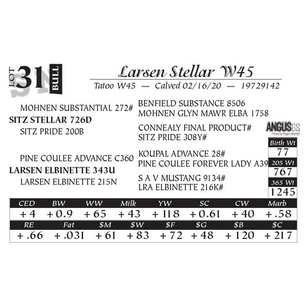 Larsen Stellar W45