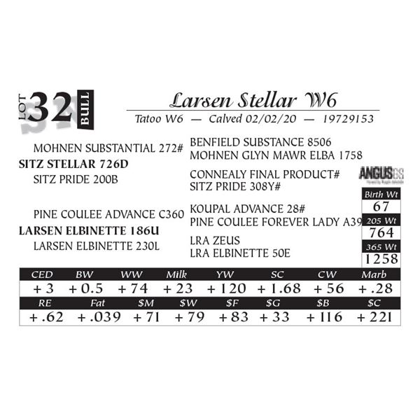 Larsen Stellar W6