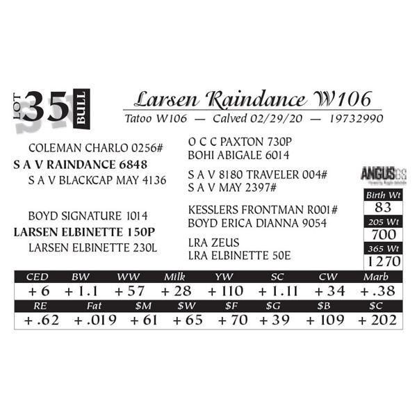 Larsen Raindance W106
