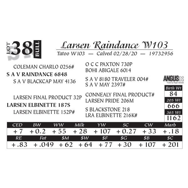 Larsen Raindance W103