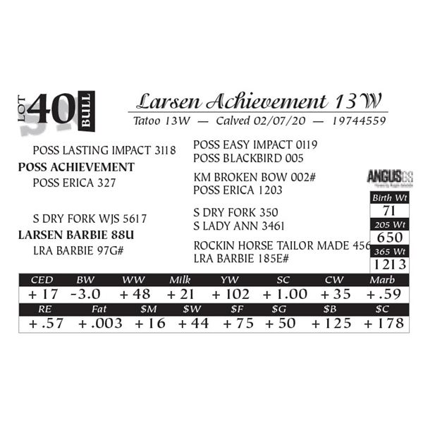 Larsen Achievement 13W