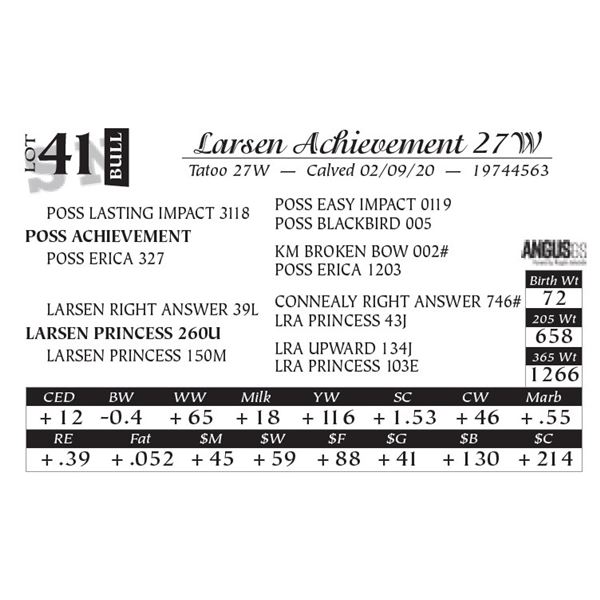 Larsen Achievement 27W
