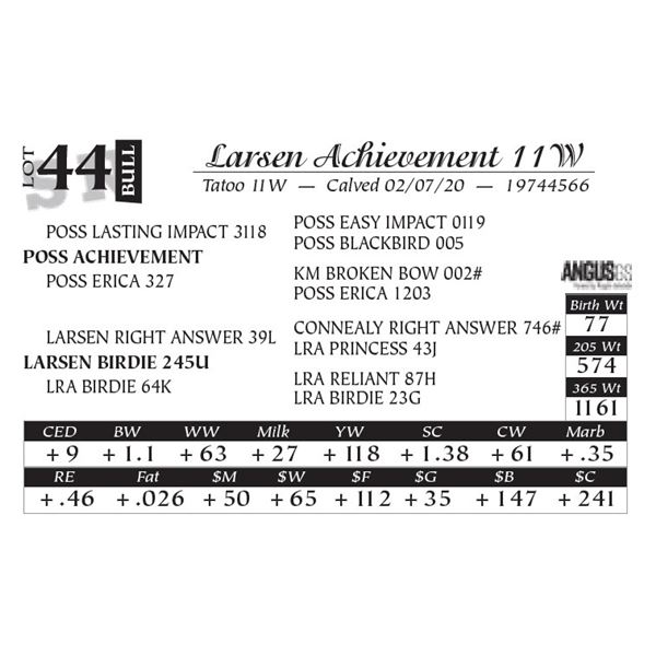 Larsen Achievement 11W