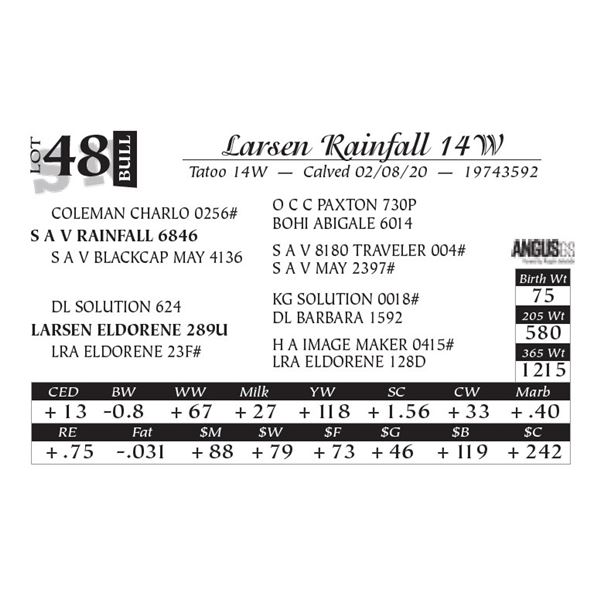Larsen Rainfall 14W