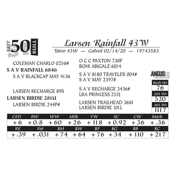 Larsen Rainfall 43W