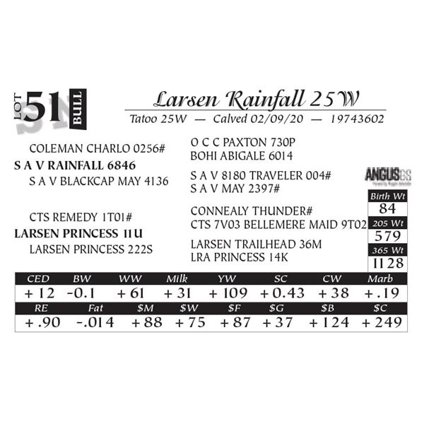 Larsen Rainfall 25W