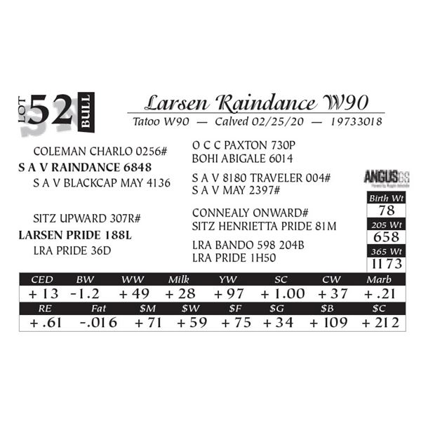 Larsen Raindance W90