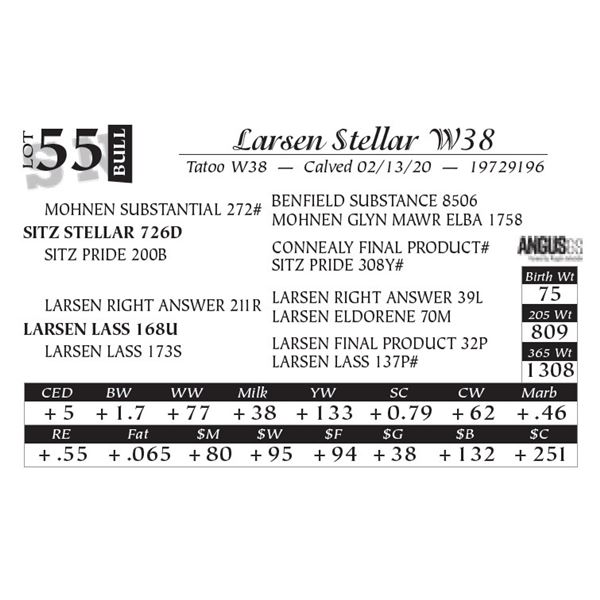 Larsen Stellar W38