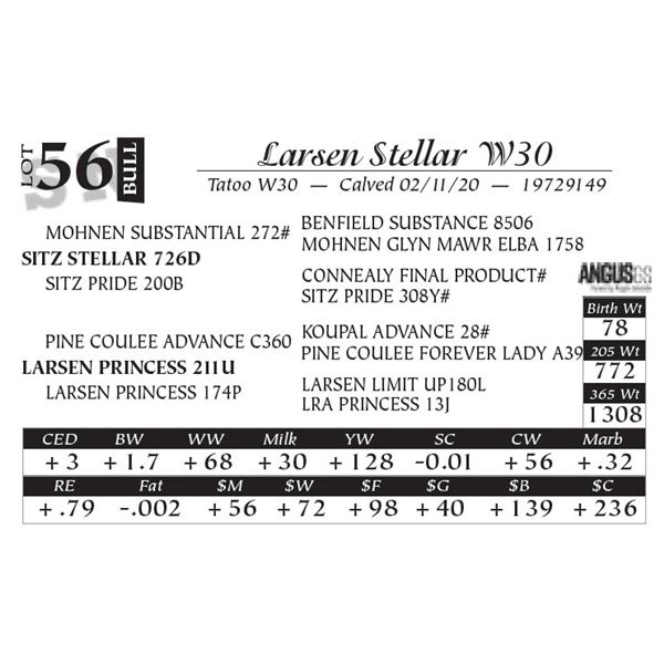 Larsen Stellar W30