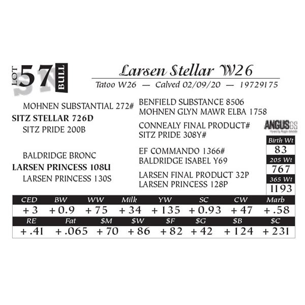 Larsen Stellar W26