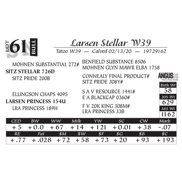 Larsen Stellar W39