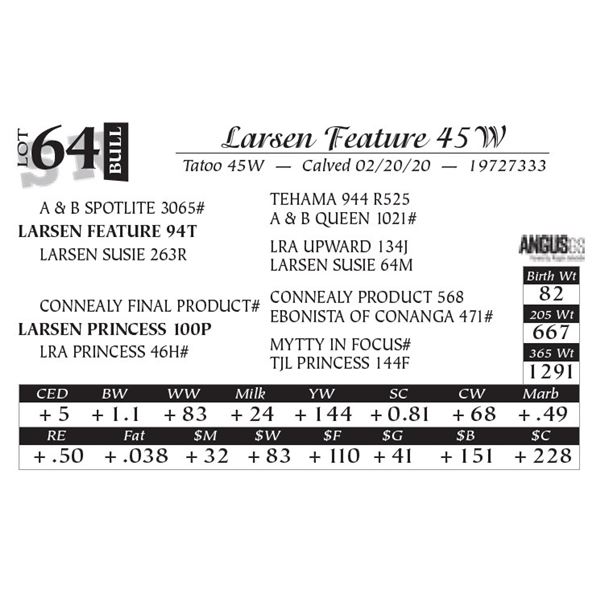 Larsen Feature 45W