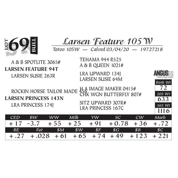 Larsen Feature 105W