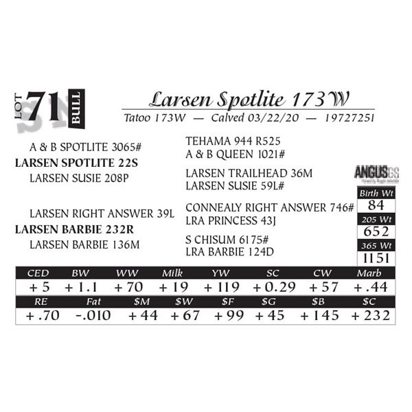 Larsen Spotlite 173W