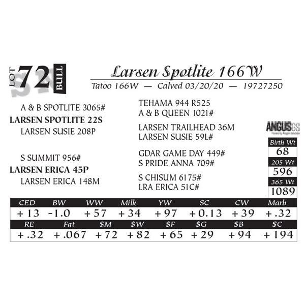 Larsen Spotlite 166W