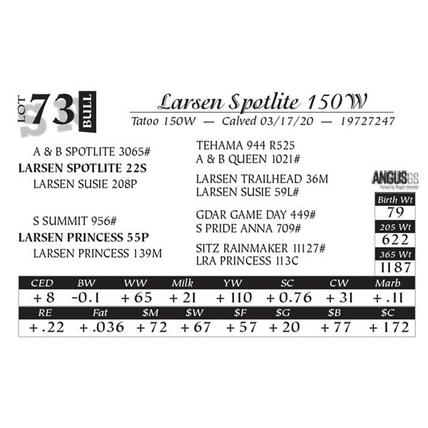 Larsen Spotlite 150W
