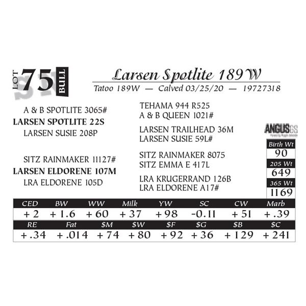 Larsen Spotlite 189W