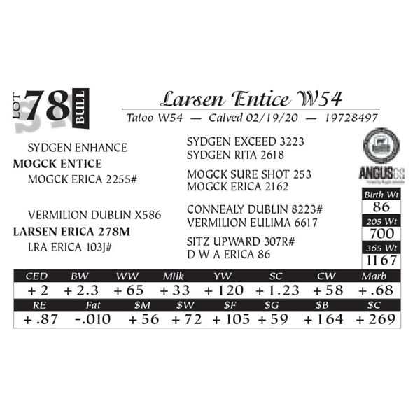 Larsen Entice W54