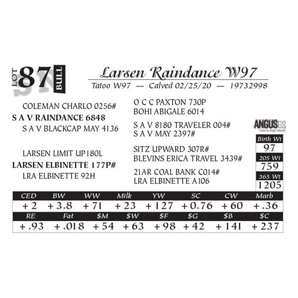 Larsen Raindance W97