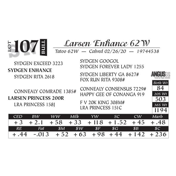Larsen Enhance 62W