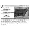 Image 1 : FISCHER STATS 069