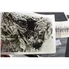 Image 2 : WW1 TRENCH PHOTOGRAPH ETC