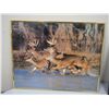 Image 2 : 2X THE MONEY / DEER PICTURES IN FRAMES (16X20)