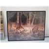 Image 3 : 2X THE MONEY / DEER PICTURES IN FRAMES (16X20)