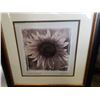 Image 2 : 2 FLOWER PRINTS