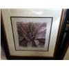 Image 3 : 2 FLOWER PRINTS