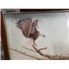 Image 2 : "THE RETURN-BALD EAGLE PAIR" BY ROBERT BATEMAN