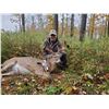 Image 4 : 3-day Whitetail Deer hunt in North Central Wisconsin for 1 Hunter