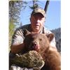 Image 1 : 5-day Idaho Wilderness Horseback Black Bear Hunt for 1 Hunter