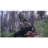 Image 3 : 5-day Idaho Wilderness Horseback Black Bear Hunt for 1 Hunter