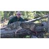 Image 7 : 5-day Idaho Wilderness Horseback Black Bear Hunt for 1 Hunter