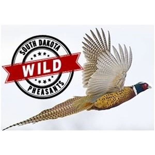3-day / 4-night South Dakota Pheasant Hunt for 2 Hunters