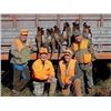 Image 2 : 3-day / 4-night South Dakota Pheasant Hunt for 2 Hunters