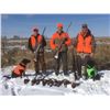Image 5 : 3-day / 4-night South Dakota Pheasant Hunt for 2 Hunters