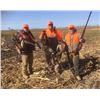 Image 6 : 3-day / 4-night South Dakota Pheasant Hunt for 2 Hunters