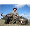 Image 4 : 5-Day Namibia Gemsbok and Blue Wildebeest Hunt for 2 Hunters