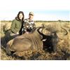 Image 5 : 5-Day Namibia Gemsbok and Blue Wildebeest Hunt for 2 Hunters