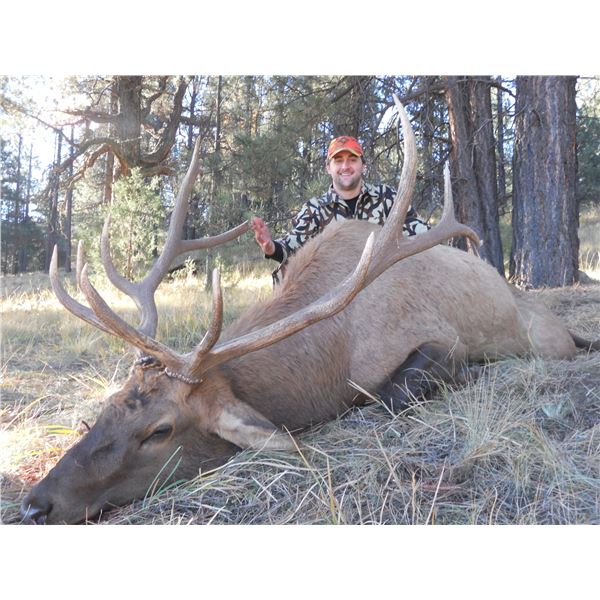 5-Day New Mexico “Hunter's Choice” (Elk, Mule Deer, Coues Deer, or Aoudad) for 1 Hunter