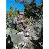 Image 3 : 5-Day New Mexico “Hunter's Choice” (Elk, Mule Deer, Coues Deer, or Aoudad) for 1 Hunter