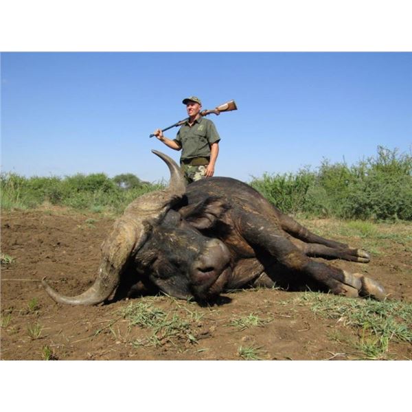 5-day South Africa Cape Buffalo Hunt for 1 Hunter