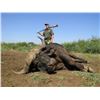 Image 1 : 5-day South Africa Cape Buffalo Hunt for 1 Hunter