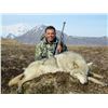 Image 1 : 6-day Alaskan Peninsula Wolf & Wolverine Combo Hunt for 1 Hunter