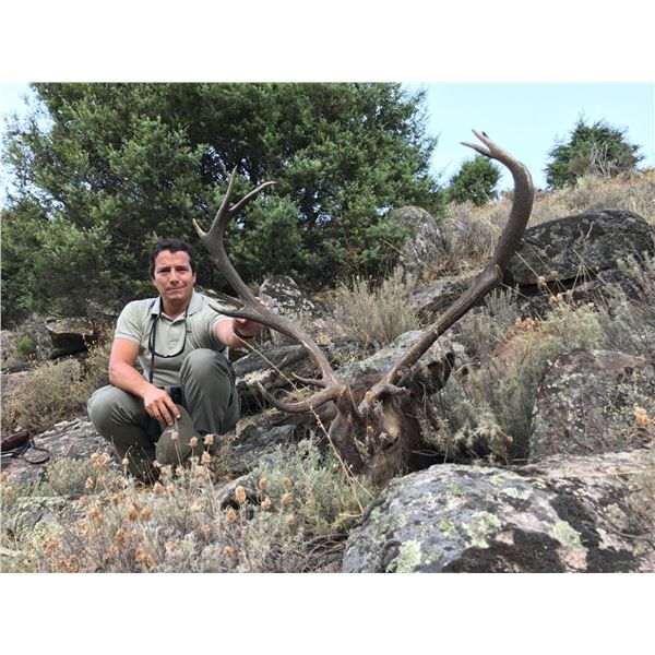 3-Day Spain Gredos Red Deer & Fallow Deer Hunt for 1 Hunter