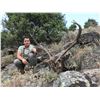 Image 1 : 3-Day Spain Gredos Red Deer & Fallow Deer Hunt for 1 Hunter