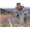 Image 1 : 5-day Mexico Carmen Mountain Whitetail Deer & Javelina Hunt for One Hunter & One Observer