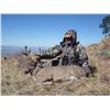 Image 2 : 5-day Mexico Carmen Mountain Whitetail Deer & Javelina Hunt for One Hunter & One Observer